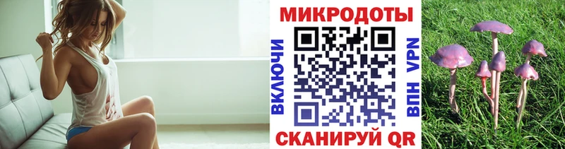 наркотики  Ленинск  Псилоцибиновые грибы MAGIC MUSHROOMS 